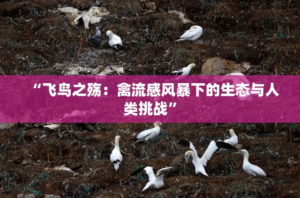 橘虞初梦 第3页