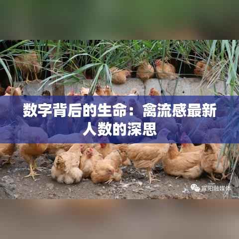 数字背后的生命:禽流感最新人数的深思