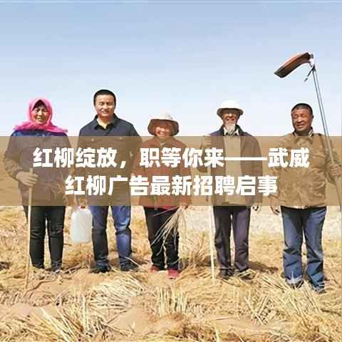 红柳绽放,职等你来——武威红柳广告最新招聘启事