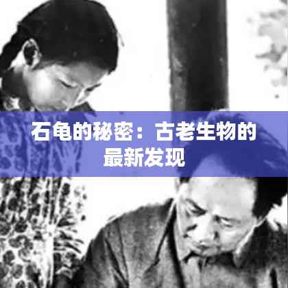 石龟的秘密:古老生物的最新发现