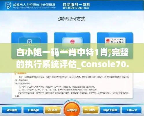白小姐一码一肖中特1肖,完整的执行系统评估_Console70.263