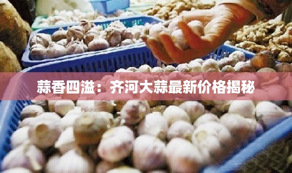 蒜香四溢:齐河大蒜最新价格揭秘