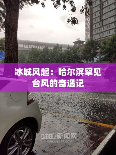 芳兰竟体 第4页