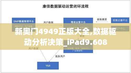 新奥门4949正版大全,数据驱动分析决策_iPad9.608