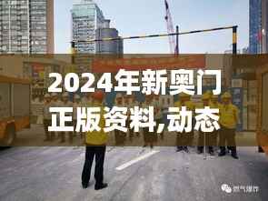 2024年新奥门正版资料,动态说明分析_WP8.922