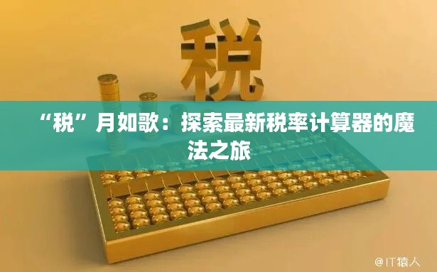 “税”月如歌：探索最新税率计算器的魔法之旅