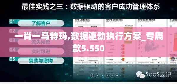 一肖一马特玛,数据驱动执行方案_专属款5.550
