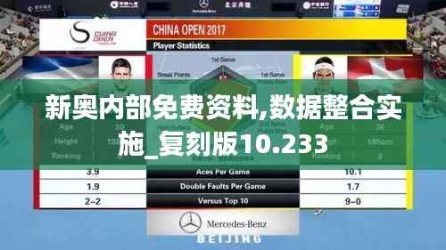 新奥内部免费资料,数据整合实施_复刻版10.233