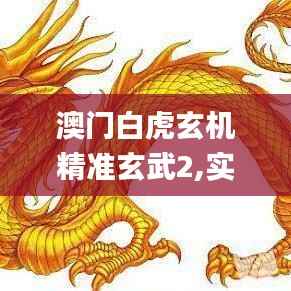 澳门白虎玄机精准玄武2,实地计划设计验证_5DM2.693