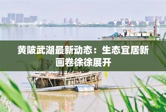 黄陂武湖最新动态:生态宜居新画卷徐徐展开