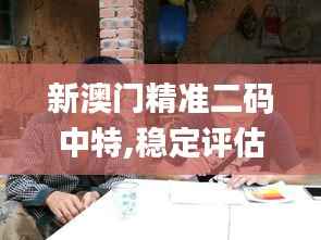 新澳门精准二码中特,稳定评估计划方案_桌面版1.939