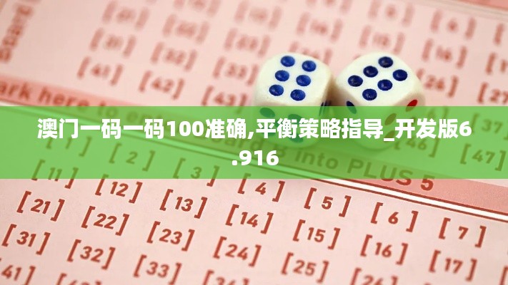 澳门一码一码100准确,平衡策略指导_开发版6.916