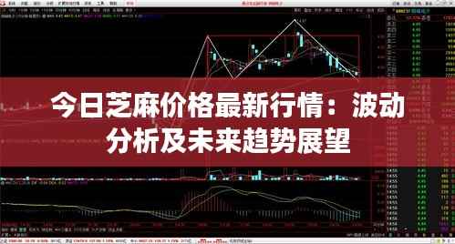 今日芝麻价格最新行情:波动分析及未来趋势展望