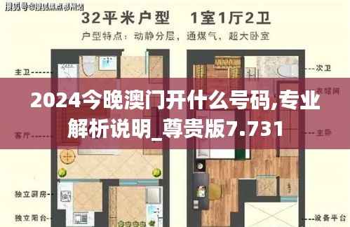 2024今晚澳门开什么号码,专业解析说明_尊贵版7.731
