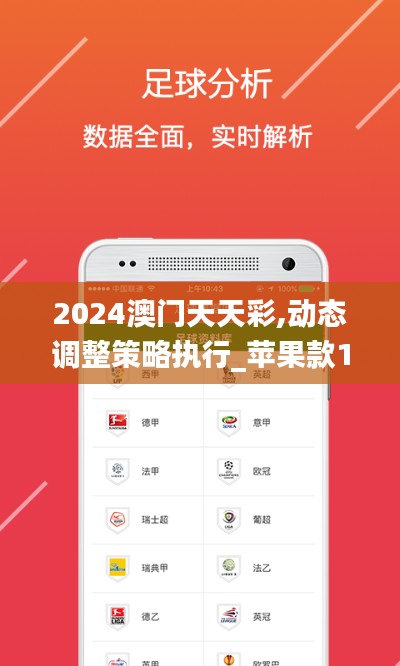 2024澳门天天彩,动态调整策略执行_苹果款19.714