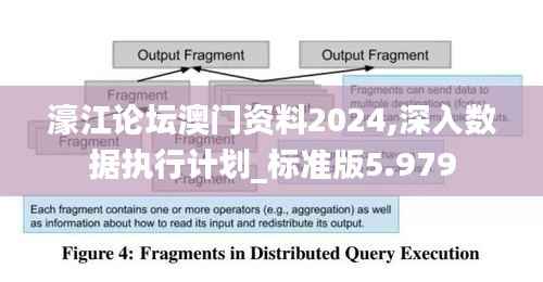 濠江论坛澳门资料2024,深入数据执行计划_标准版5.979