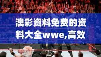 澳彩资料免费的资料大全wwe,高效实施设计策略_特供版110.320