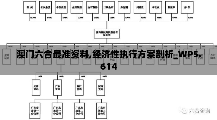 澳门六合最准资料,经济性执行方案剖析_WP5.614