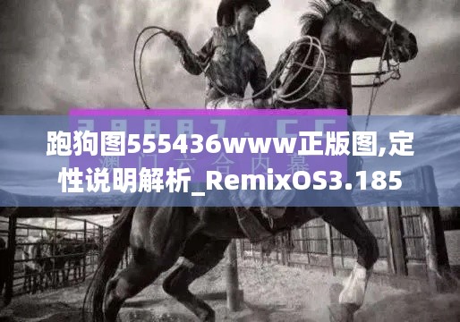 跑狗图555436www正版图,定性说明解析_RemixOS3.185