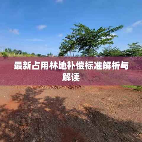 最新占用林地补偿标准解析与解读