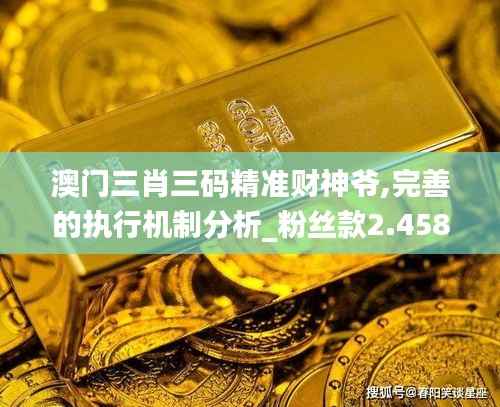 澳门三肖三码精准财神爷,完善的执行机制分析_粉丝款2.458