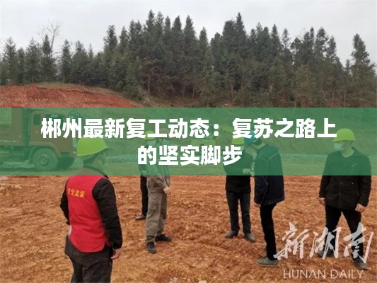 郴州最新复工动态:复苏之路上的坚实脚步