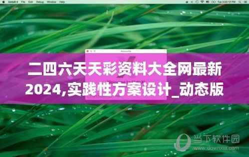 二四六天天彩资料大全网最新2024,实践性方案设计_动态版6.725