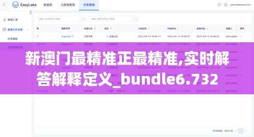 新澳门最精准正最精准,实时解答解释定义_bundle6.732