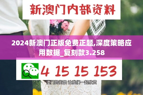 2024新澳门正版免费正题,深度策略应用数据_复刻款3.258