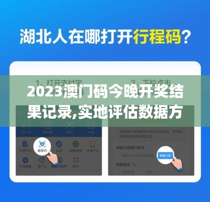 2023澳门码今晚开奖结果记录,实地评估数据方案_专业款19.720