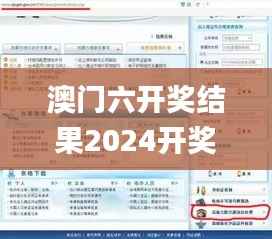 澳门六开奖结果2024开奖记录查询,实地验证执行数据_专业版4.533