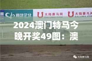 2024澳门特马今晚开奖49图:澳门特马,今夜的赛马之星