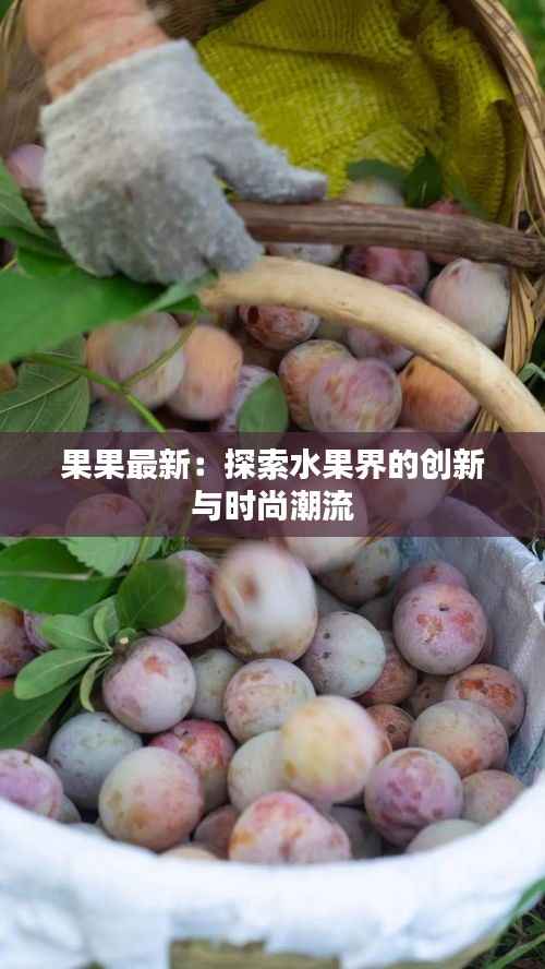 果果最新:探索水果界的创新与时尚潮流