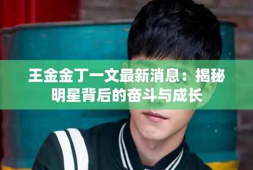 王金金丁一文最新消息:揭秘明星背后的奋斗与成长