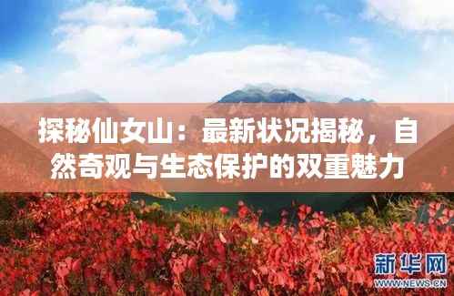 探秘仙女山:最新状况揭秘,自然奇观与生态保护的双重魅力
