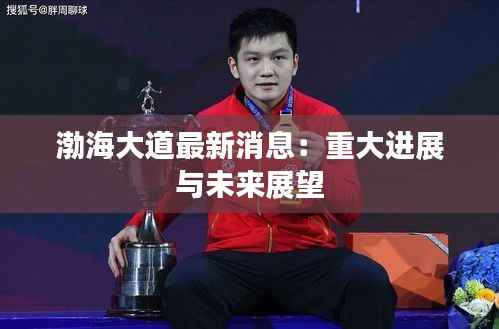 渤海大道最新消息:重大进展与未来展望