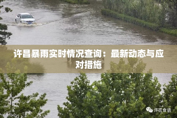 许昌暴雨实时情况查询:最新动态与应对措施