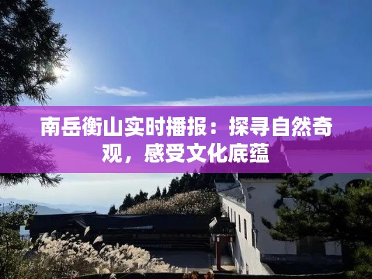 南岳衡山实时播报:探寻自然奇观,感受文化底蕴