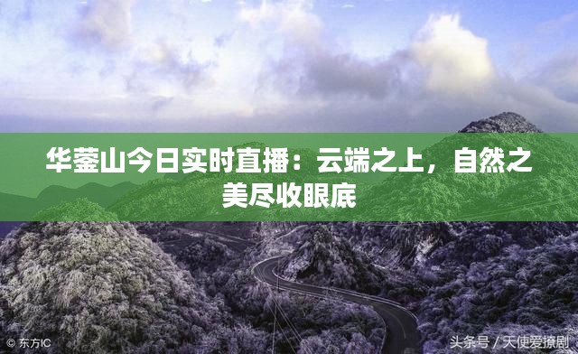 华蓥山今日实时直播：云端之上，自然之美尽收眼底