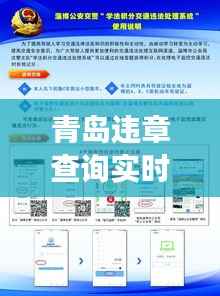 青岛违章查询实时:便捷服务助您轻松了解交通违法情况