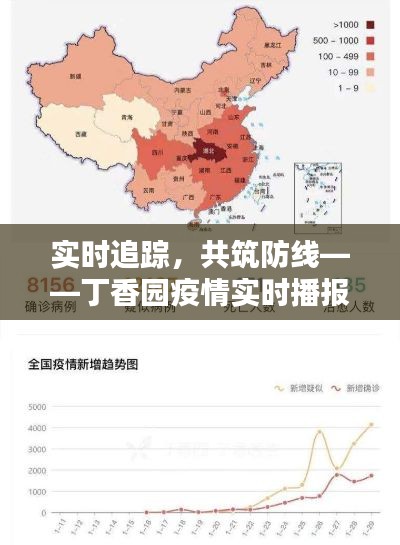 实时追踪,共筑防线——丁香园疫情实时播报全解析