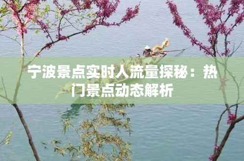 宁波景点实时人流量探秘：热门景点动态解析