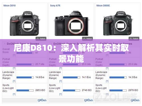 尼康D810:深入解析其实时取景功能