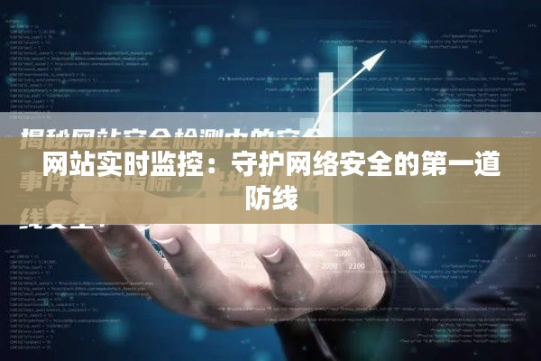 网站实时监控：守护网络安全的第一道防线