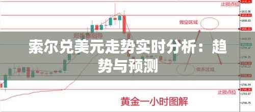 索尔兑美元走势实时分析：趋势与预测