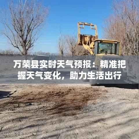 飞奇钩货 第3页