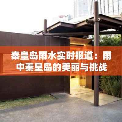 秦皇岛雨水实时报道:雨中秦皇岛的美丽与挑战