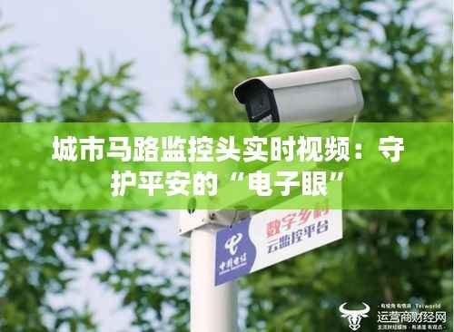 城市马路监控头实时视频：守护平安的“电子眼”