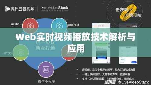 Web实时视频播放技术解析与应用