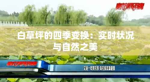 白草坪的四季变换:实时状况与自然之美